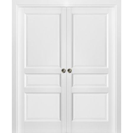 SARTODOORS Double Pocket Interior Door, 48" x 80", White LUCIA31DP-BEM-48